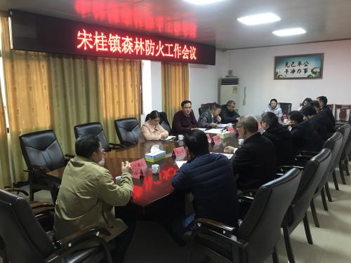 宋桂：启用无人机进行森防巡查 多措并举加强森防工作