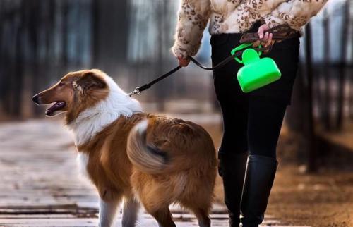 国外小哥用无人机遛狗，结果无人机带着狗子飞走了……