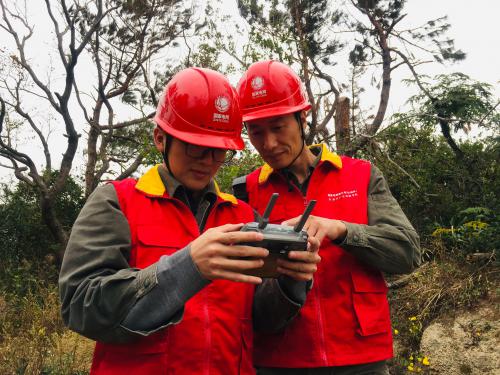 迎峰度冬丨洞头供电无人机巡线效果显著