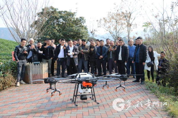 湄潭欧标茶园建设用上了“飞机”