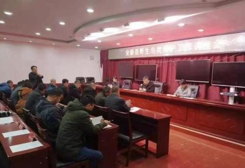 无人机助力，千人全域巡查！雄安启动护鸟“清网行动” 