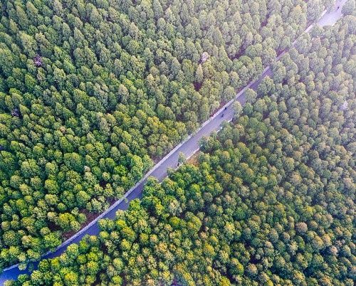 无人机航拍济南佛慧山，绿色森林中一条环山步道很漂亮