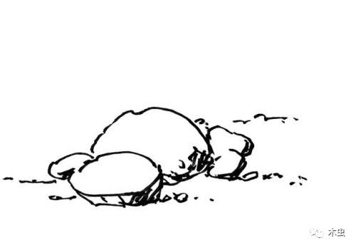 地狱火、无人机、机器人