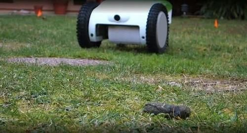 再也不想给狗狗捡屎了?无人机检测,机器人清理了解一下!