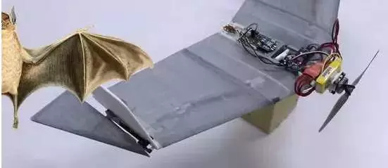 蝙蝠为啥这么厉害？无人机人整明白了没有？