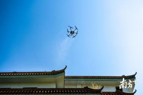梅州无人机当“消毒员”！一小时可完成近百亩消毒作业