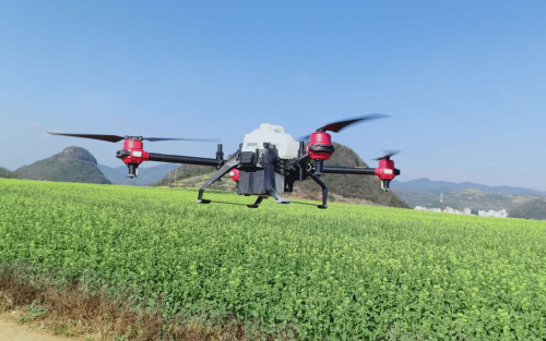 雨水节气忙春耕 云南罗平万亩油菜花田用上无人机