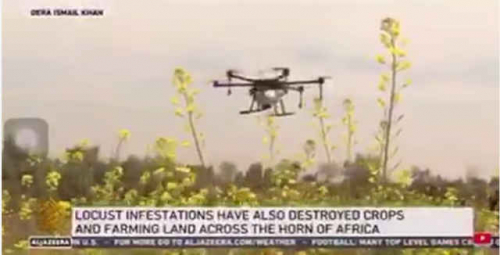 赛为智能赛鹰植保无人机助力巴基斯坦蝗灾防控