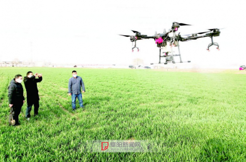 无人机飞进田