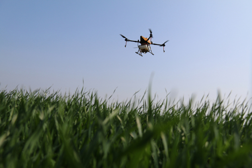 江苏连云港：无人机助力春耕 