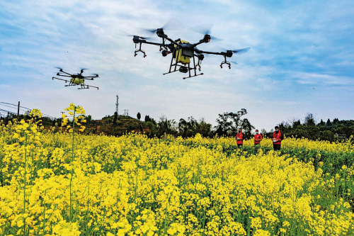 无人机植保作业 