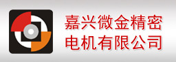 嘉兴微金精密电机有限公司
