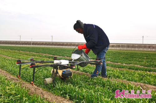 青岛平度市田庄镇无人机撒药施肥 效率比人工高15倍