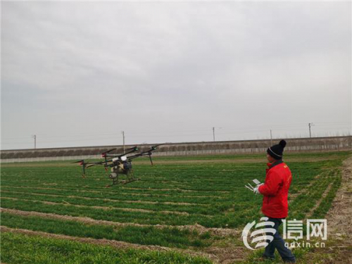 平度市田庄镇无人机助力小麦春管 撒药施肥效率比人工高15倍
