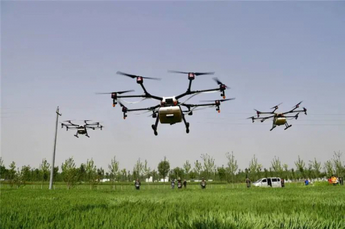 疫情适逢小麦拔节期，如何防治病虫害爆发？农业专家支招无人机喷药