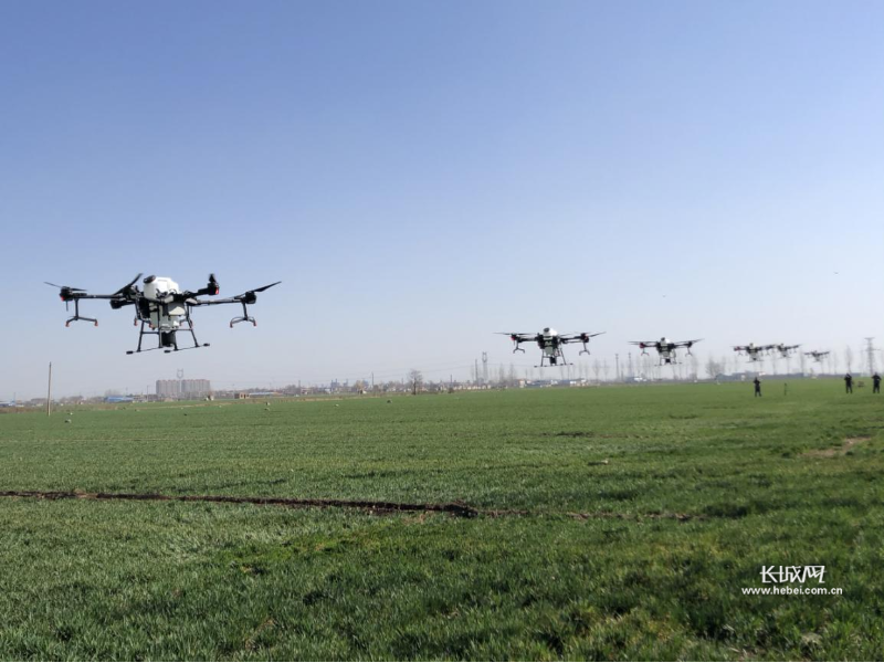 藁城用无人机实现小麦田间管理
