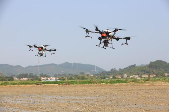 无人机播种！10分钟播完5亩地，增城开启“秒播”时代！