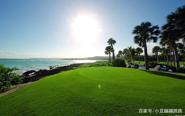 三河市高科技上阵助力森林防灭火