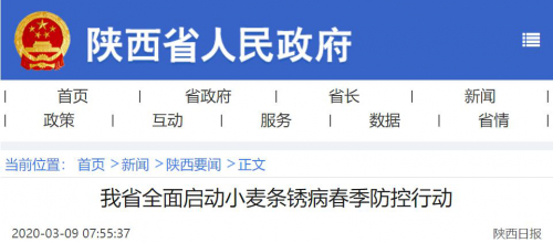 西安友农：50架飞机防控小麦条锈病，为夏粮保丰收