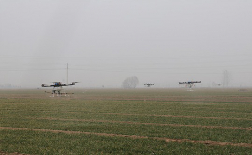 单日工作量可达400亩 金乡植保无人机飞防复工忙 