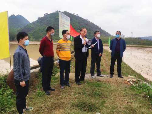 厉害！清远无人机水稻直播，5分钟可播种4亩地！ 