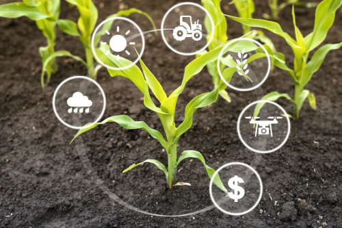 索尼与农业技术公司合作 扩展智能无人机农业生态系统