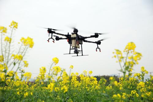 江西南昌县：无人机助力打响春耕保卫战