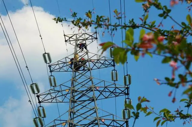 有爱！出动无人机，杭州萧山供电小哥哥爬上铁塔，帮鸟儿“搬家”