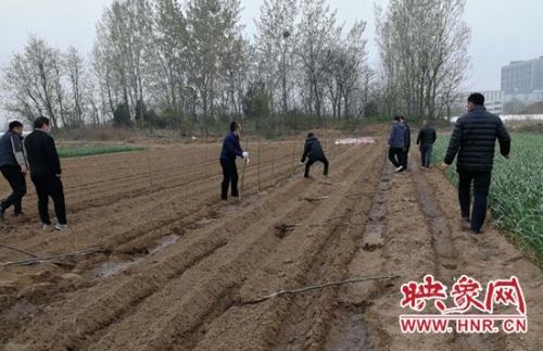 中牟县郑庵镇“无人机+人工巡查”助力整治三项违法现象