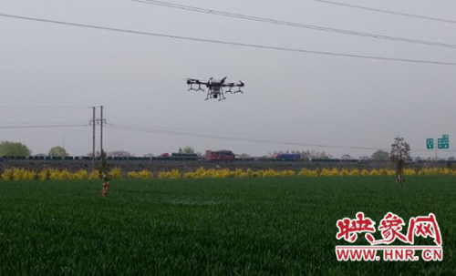 荥阳市王村镇：无人机飞防植保 助小麦生产丰收