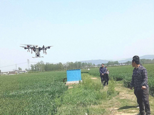 河南宝丰闹店镇：无人机助力小麦病虫害防治