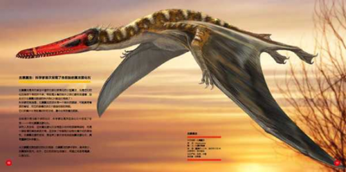 翼龙可能拥有设计更高效无人机的灵感