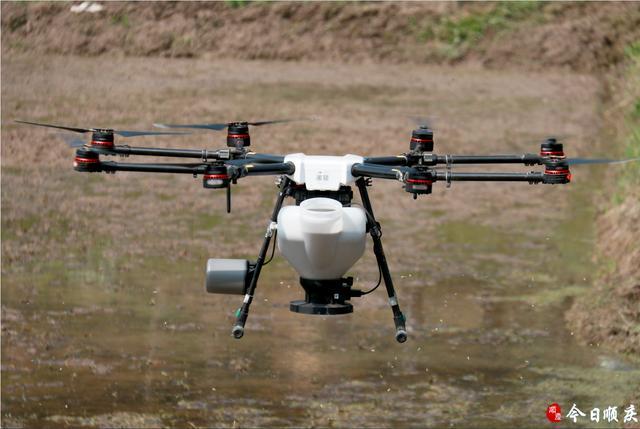 南充顺庆；无人机空中播种 3分钟一亩