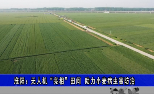 淮阳：无人机“亮相”田间 助力小麦病虫害防治 