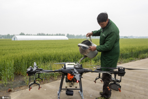 江苏泰州：无人机助力“一喷三防” 