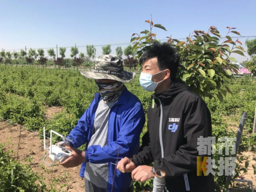 90后陕西小伙不顾家人反对贷款创业，无人机洒农药年入60万！