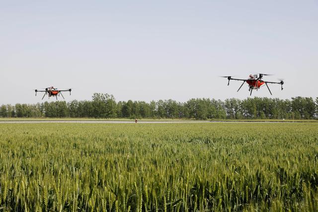 河南宝丰：无人机助力麦田管理