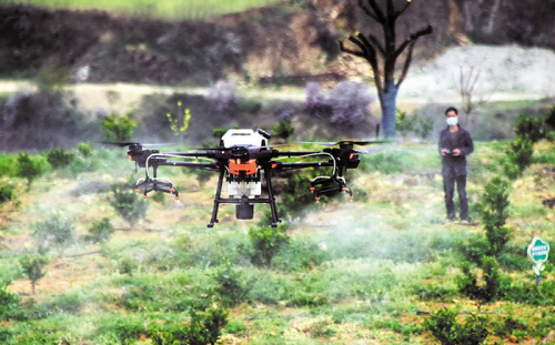 湖北五县市试点无人机巡查重点林业工作 “天眼”扫描护林海安澜