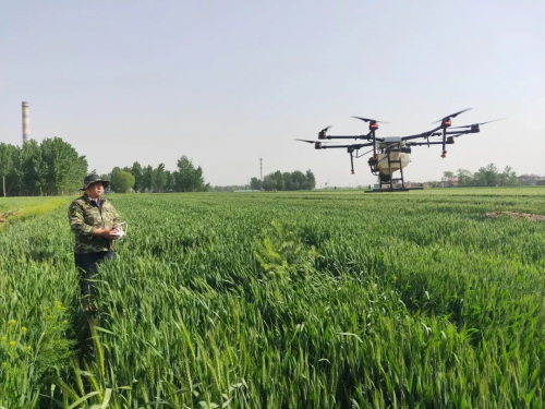 每天能赚两千元 农忙时节无人机飞手“很忙”