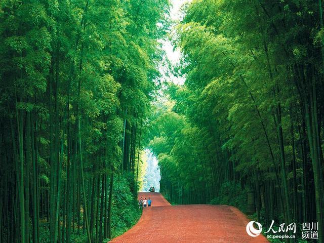 “五一”相约蜀南竹海 游客可观看无人机灯光秀