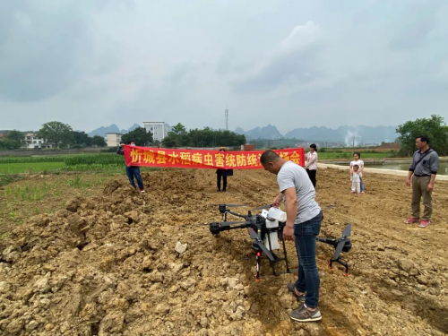 厉害了！~这里在用无人机统防统治水稻病虫害