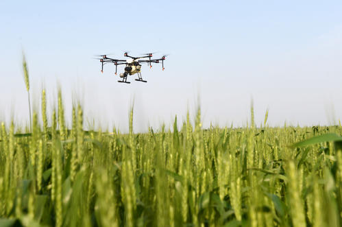 眉县：贫困户小麦“一喷三防”用上了无人机