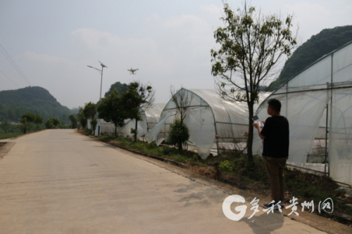 黔西县谷里镇：“无人机”助力禁种铲毒踏排查工作