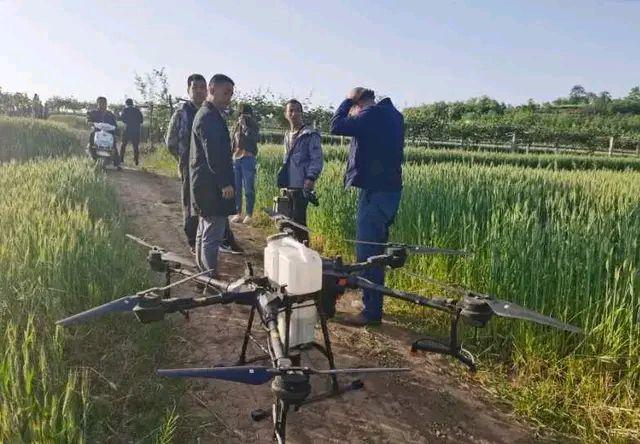 眉县贫困户“无人机”给小麦防虫