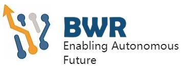 以色列 BWR 公司