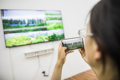 解密上海首个盒马村：无人机撒药 机器人巡逻 用手机种田