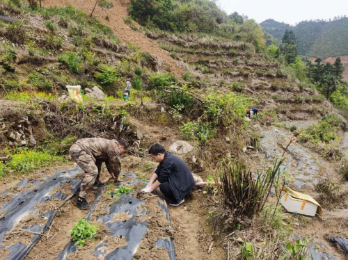 基层治理创新难？他用无人机“巡山”解决森林防火难题