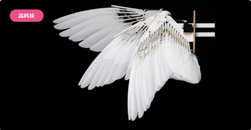 斯坦福大学研制仿鸟无人机