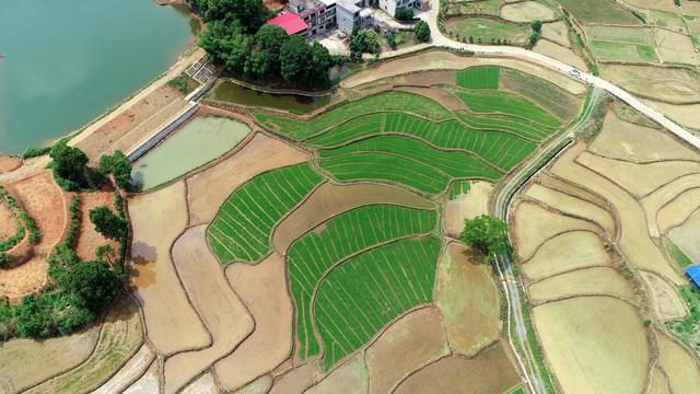 金洞：无人机巡查为制止耕地抛荒安上“千里眼”