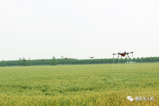 发展农业产业化的作用